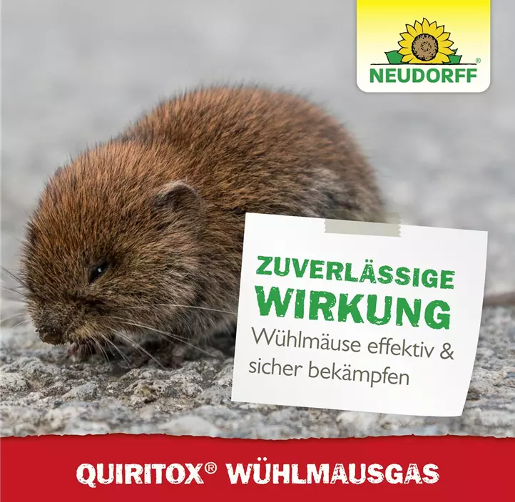 Wühlmausgas 2 Kartuschen