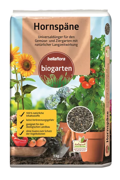 gummibaum tineke Ficus Tineke kaufen – Gummibaum mit Farbspiel auf Stamm – Wurzelwerk Design main image 0