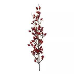 Beerenzweig, rot