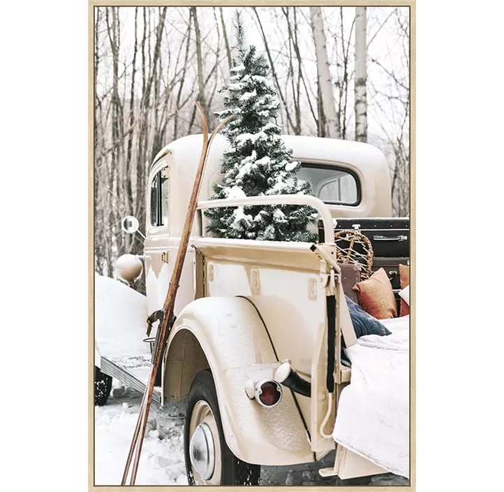 Bild Auto mit Christbaum