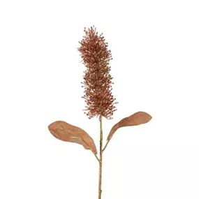 Buddleja