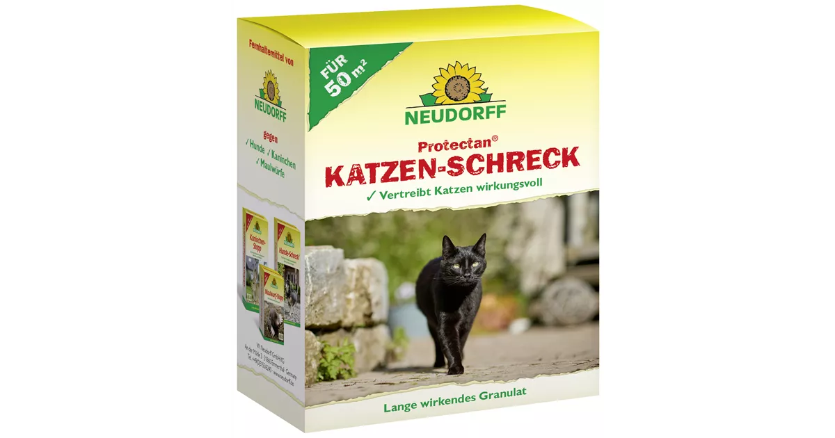 Katzenschreck - Bellaflora