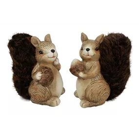 Eichhörnchen Richfield