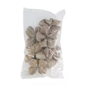 Lotusfrucht-Deko im Pack