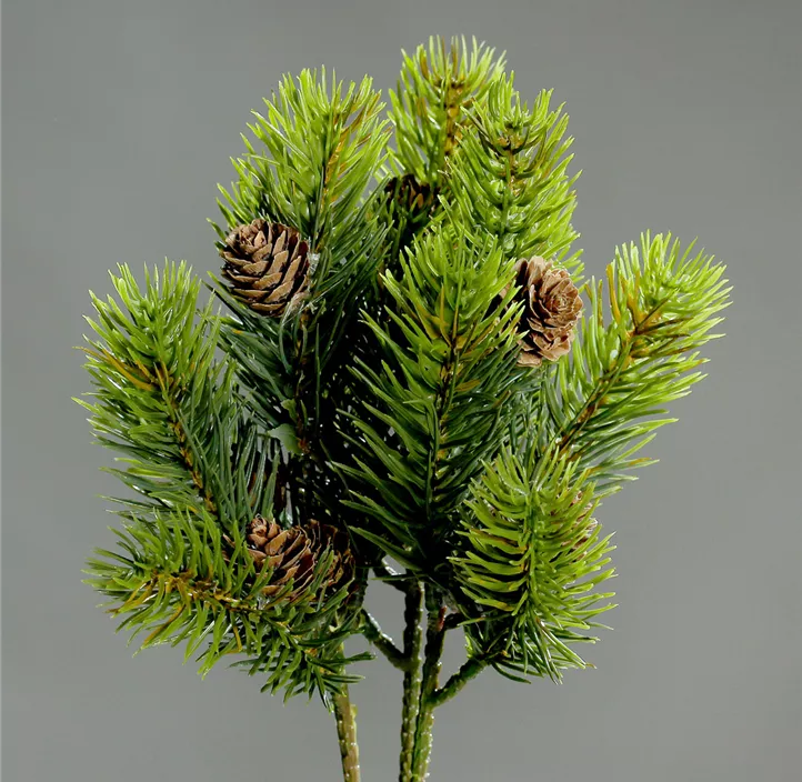 Tannenpick mit Zapfen