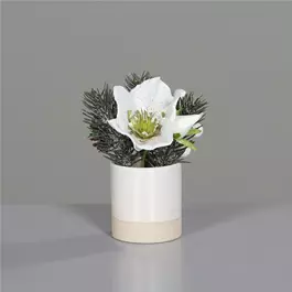 Weihnachts Arrangement im weißen Keramiktopf