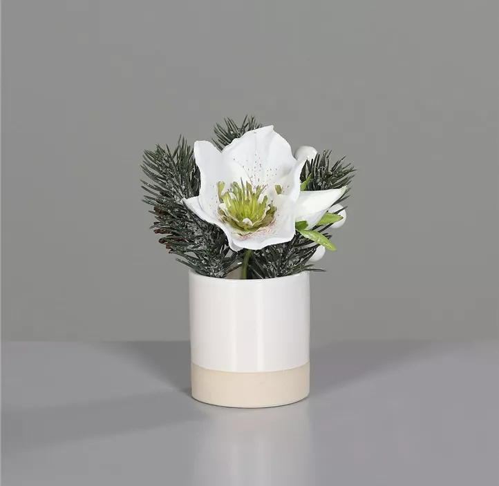 Weihnachts Arrangement im weißen Keramiktopf