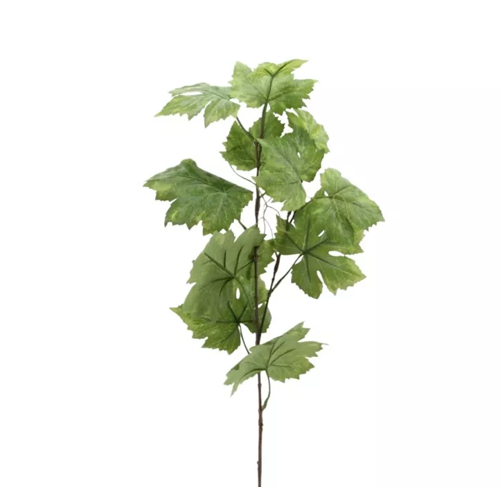 Weinlaubzweig