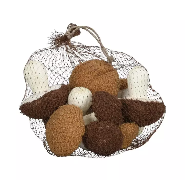 Pilz im Netz 9er Packung