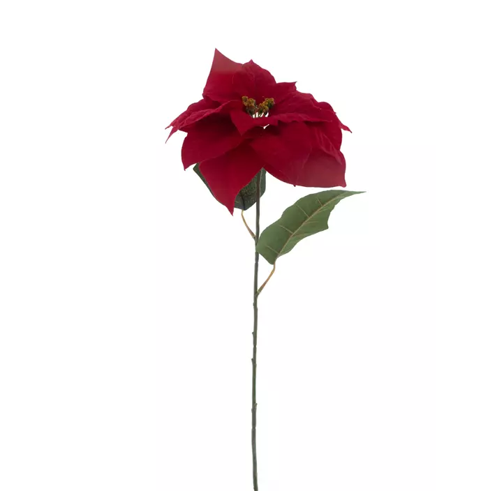Poinsettia Spray Rees