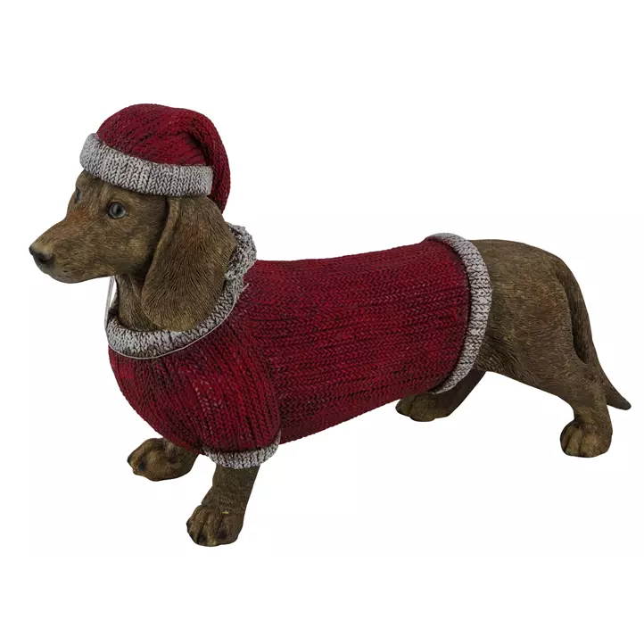 Polydackel mit Weihnachtsmütze