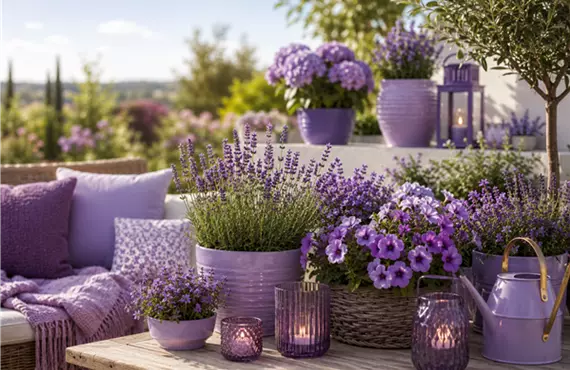 Ube-Lila-Blog-Picture-1.png