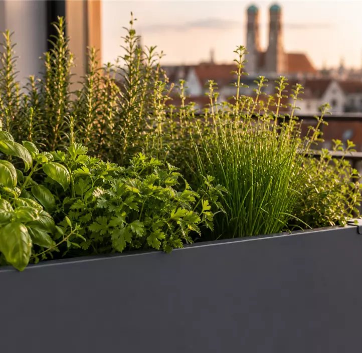 Hochbeet UrbanGrow M