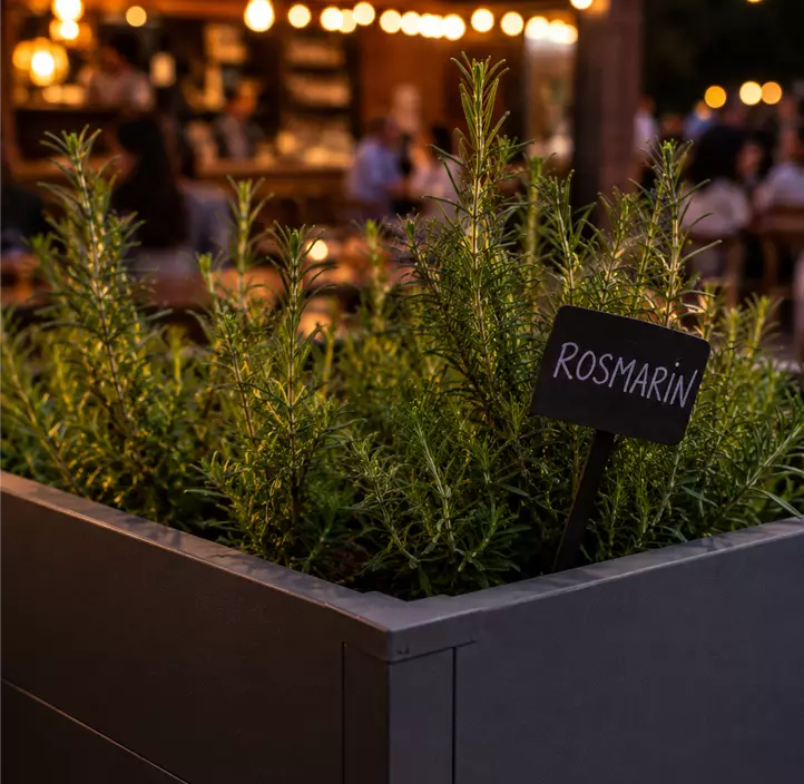 Hochbeet UrbanGrow M