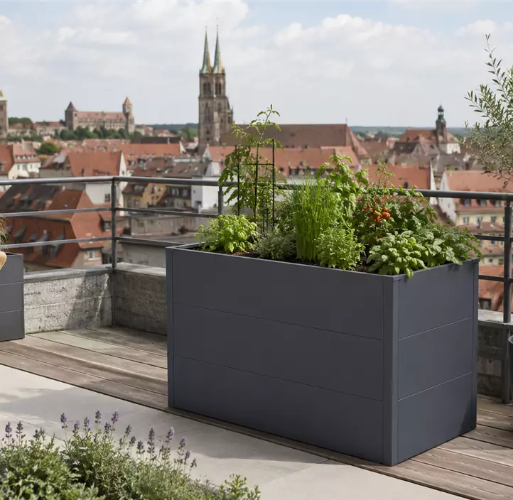 Hochbeet UrbanGrow L