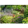 bellaflora Gartencenter GmbH
