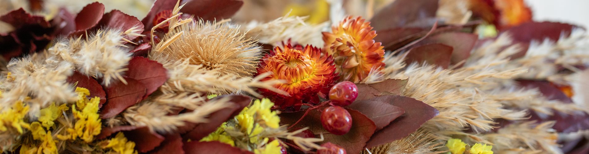 Trockenblumen - Deko Trockenblumen - Deko