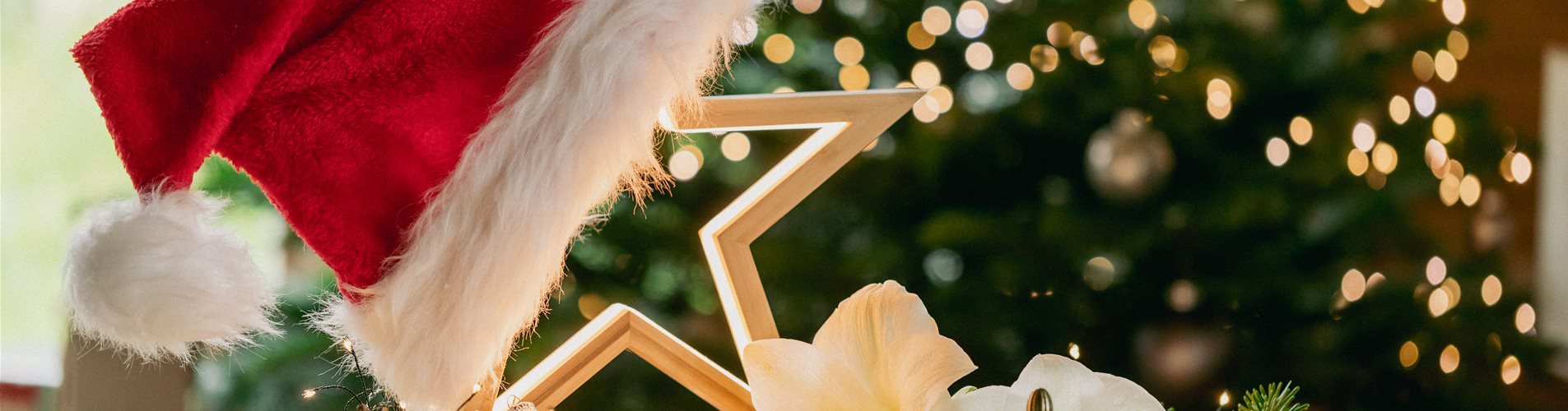 Weihnachten im Airbnb - Weihnachtliche Deko Weihnachten im Airbnb - Weihnachtliche Deko