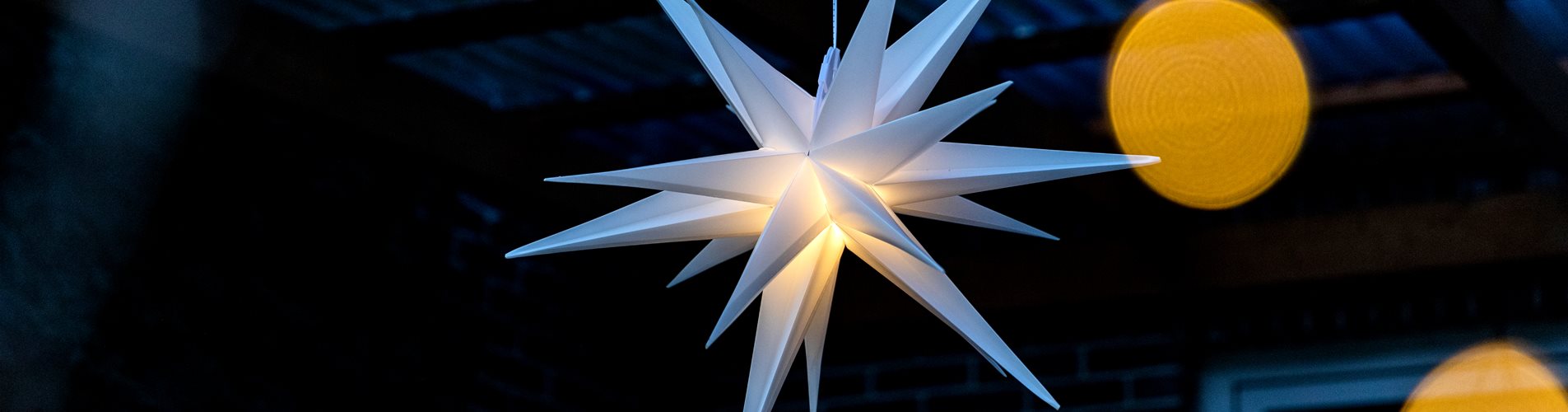Lichter im Garten - Stern