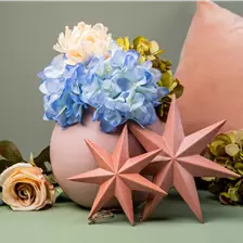 Kunstblumen & Schnittgehölze