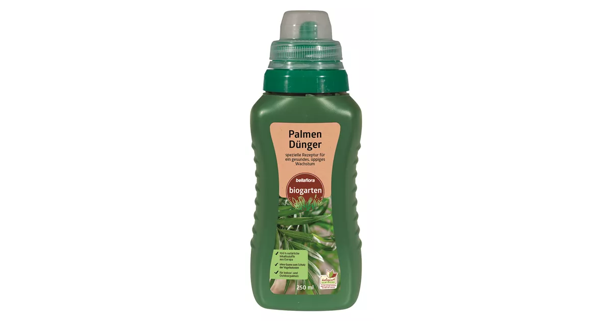 Palmendnger - Bellaflora