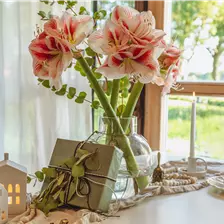 Geschenkideen unter 20 EUR