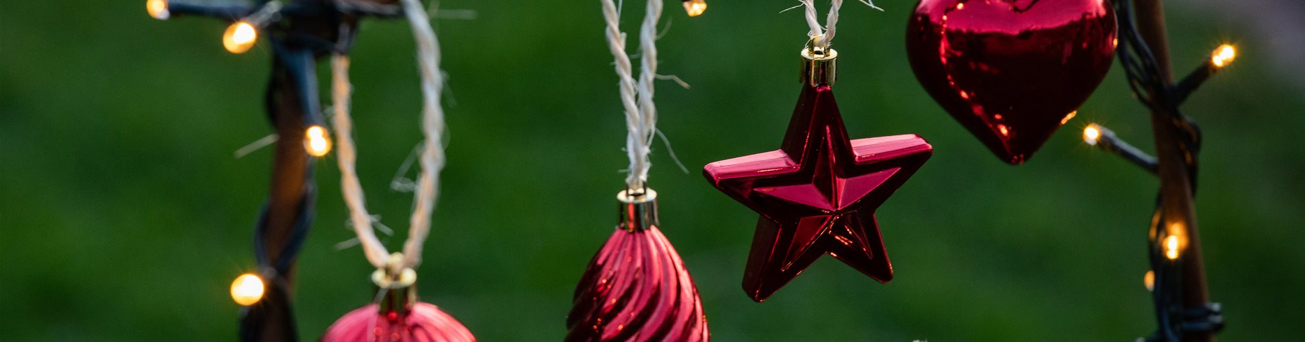 Lichter im Garten - Weihnachtsdekoration Lichter im Garten - Weihnachtsdekoration