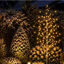 Outdoor LED-Bäume