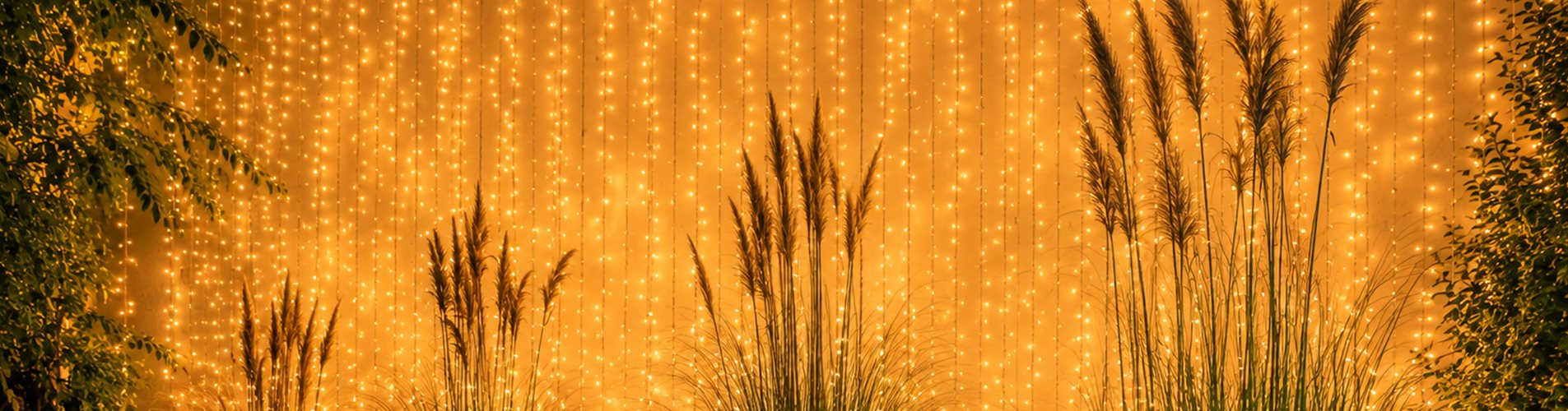 Beleuchtung - Outdoor-Lichtervorhang Header