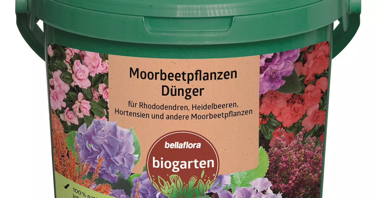 organischer dnger fr kirschlorbeer Purgrn Kirschlorbeer-Dnger 1 kg