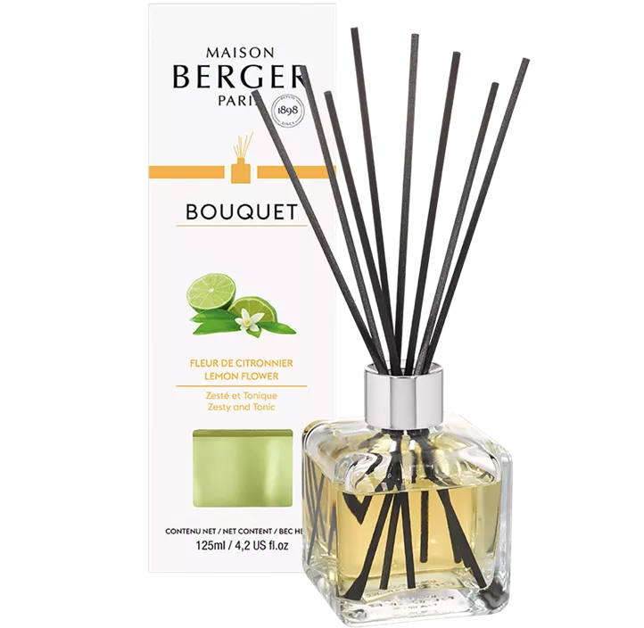 Parfum Berger Duft Cube