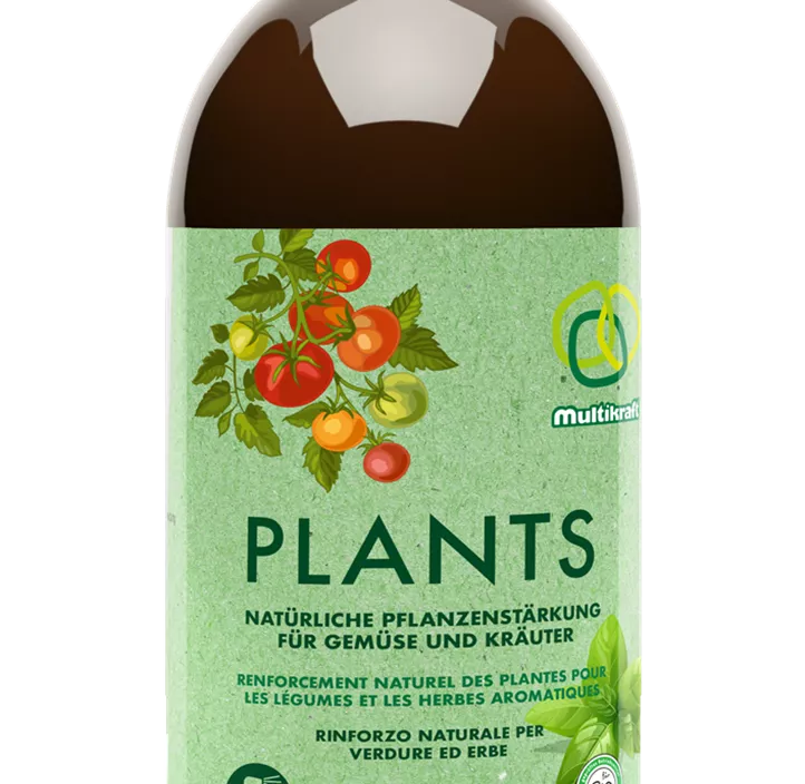 Plants