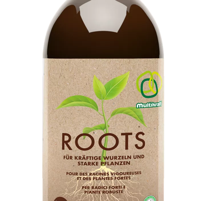Roots