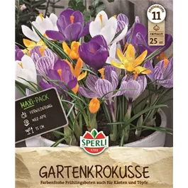 Crocus vernus Mischung