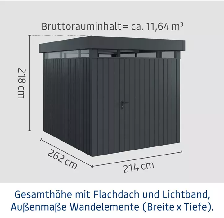 mit Lichtband und 1-flügeliger Tür