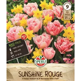 Maxi Sunshine Rouge Mix