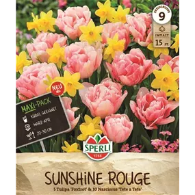 Maxi Sunshine Rouge Mix