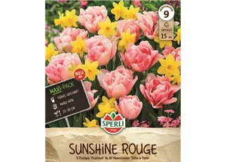 Seite 5 - Maxi Sunshine Rouge Mix.jpg