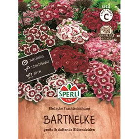 Bartnelke einfache Mischung