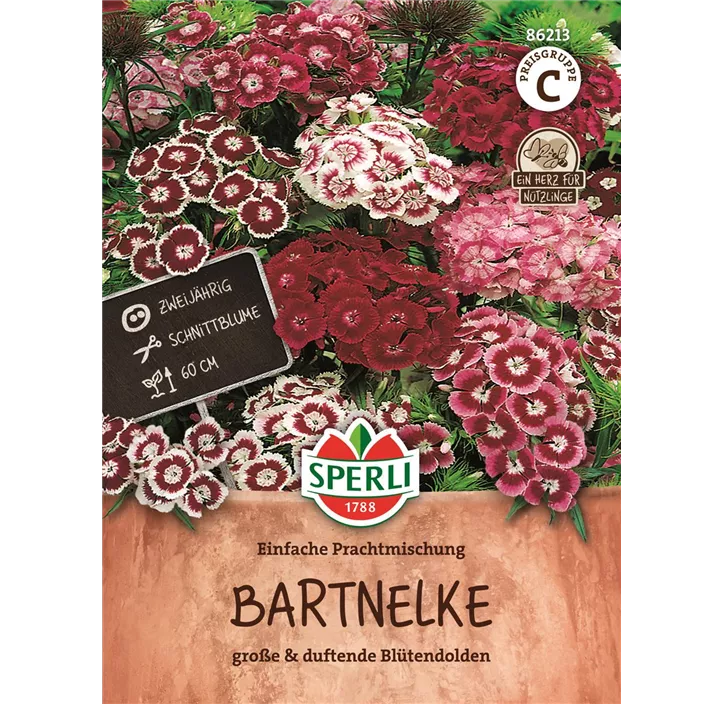 Bartnelke einfache Mischung