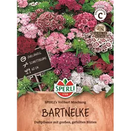 Bartnelke gefüllte Mischung 