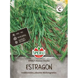Estragon Sperli's Kleiner Drache
