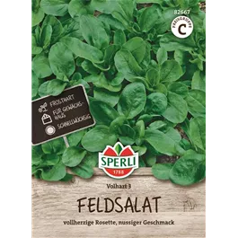 Feldsalat Volhart 3