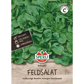 Feldsalat Volhart 3
