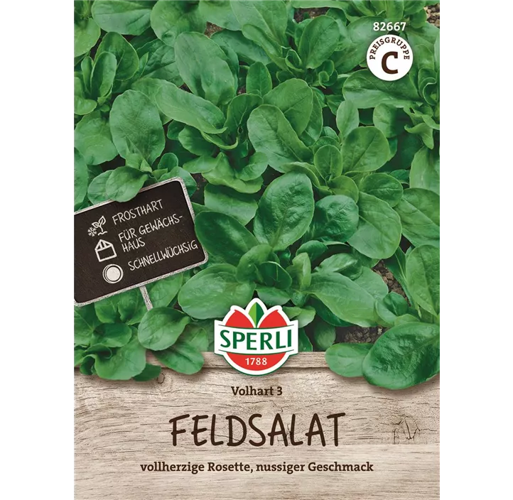 Feldsalat Volhart 3