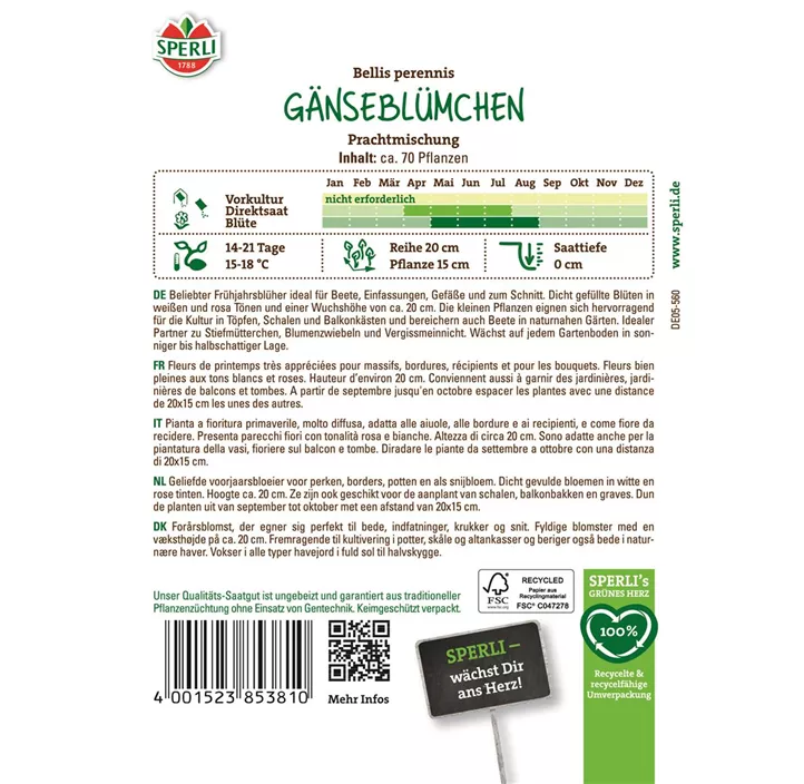 Gänseblümchen Prachtmischung