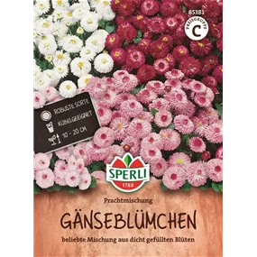 Gänseblümchen Prachtmischung