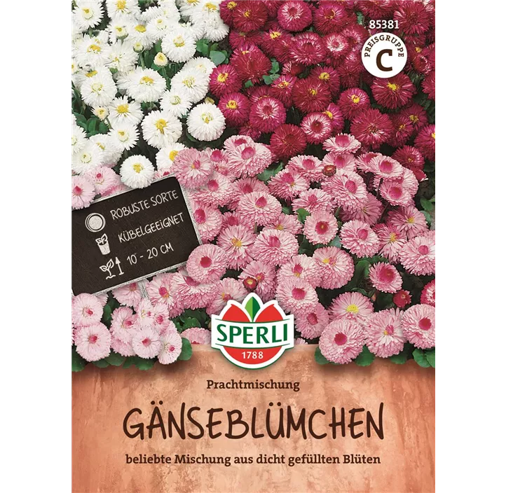 Gänseblümchen Prachtmischung