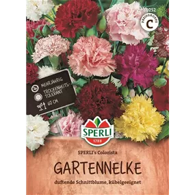 Gartennelke SPERLI's Colorista
