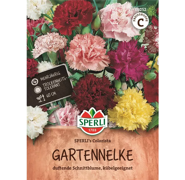 Gartennelke SPERLI's Colorista
